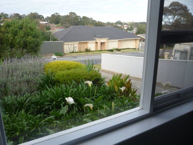 24 Trafford Road, Hope Valley SA 5090