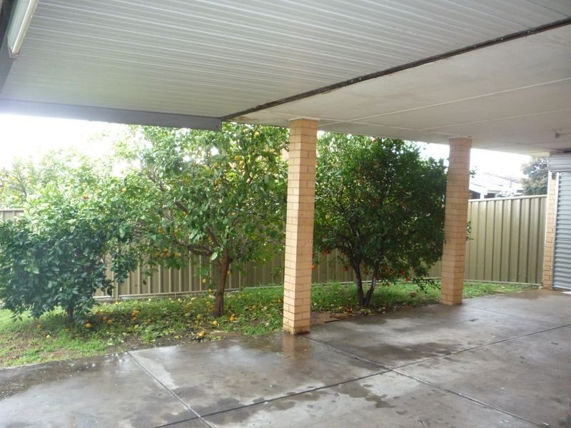 3 Ozone Court, Paradise SA 5075