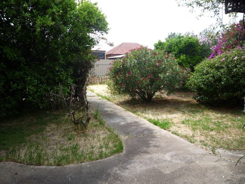 14 Wilkins Street, Enfield SA 5085