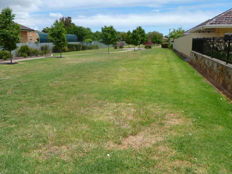 9 Katrina Avenue, Klemzig SA 5087