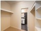 1e Grace Avenue,, Tranmere SA 5073