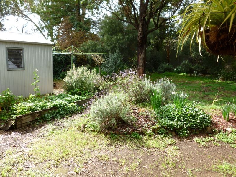 49 Llandower Avenue, Evandale SA 5069