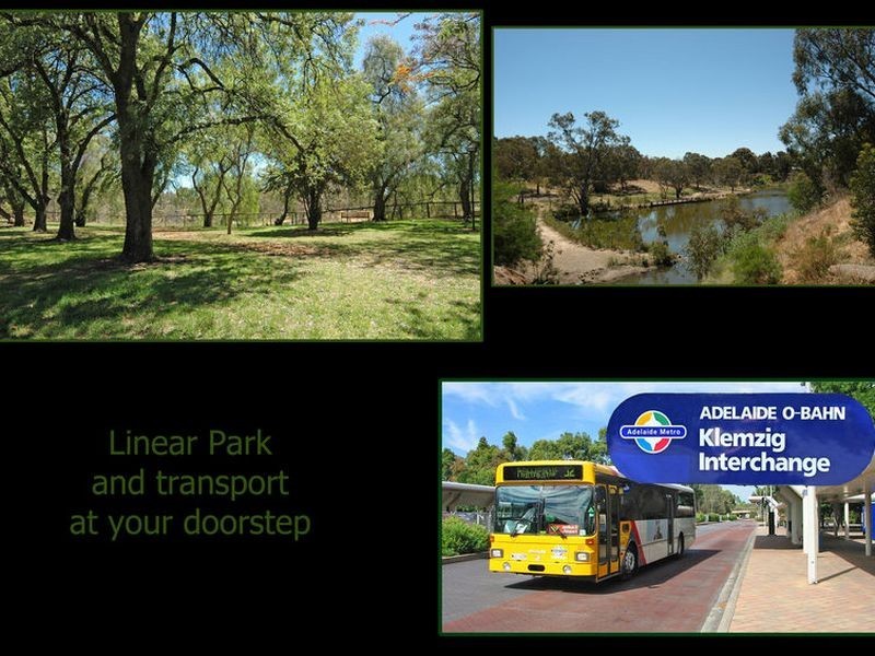 65 Hill Street, Campbelltown SA 5074