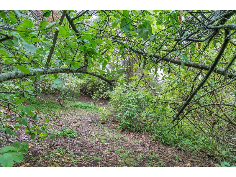 86 Orontes Avenue, Bridgewater SA 5155