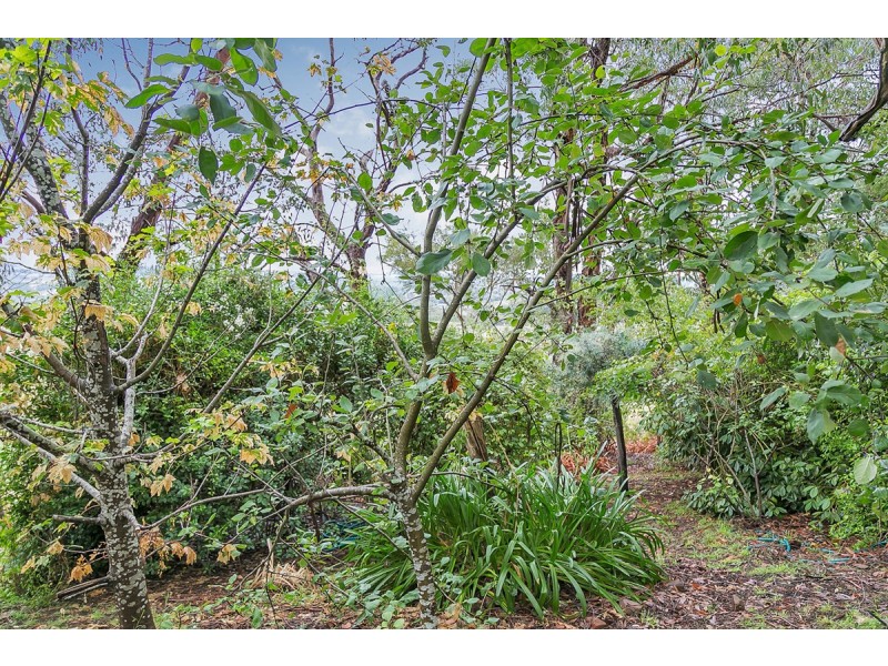 86 Orontes Avenue, Bridgewater SA 5155