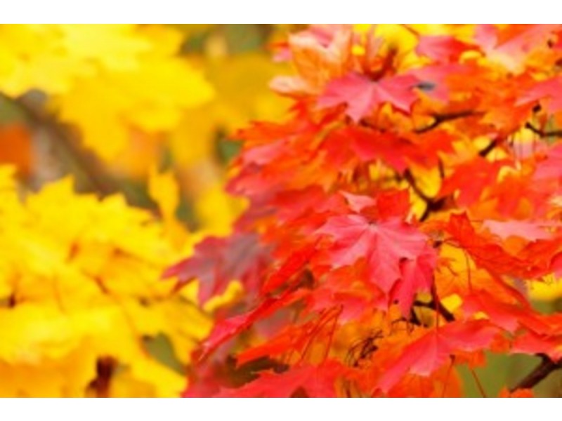 31/6 Bilney Road, Stirling SA 5152