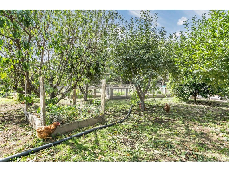 599 Ackland Hill Road, Coromandel East SA 5157