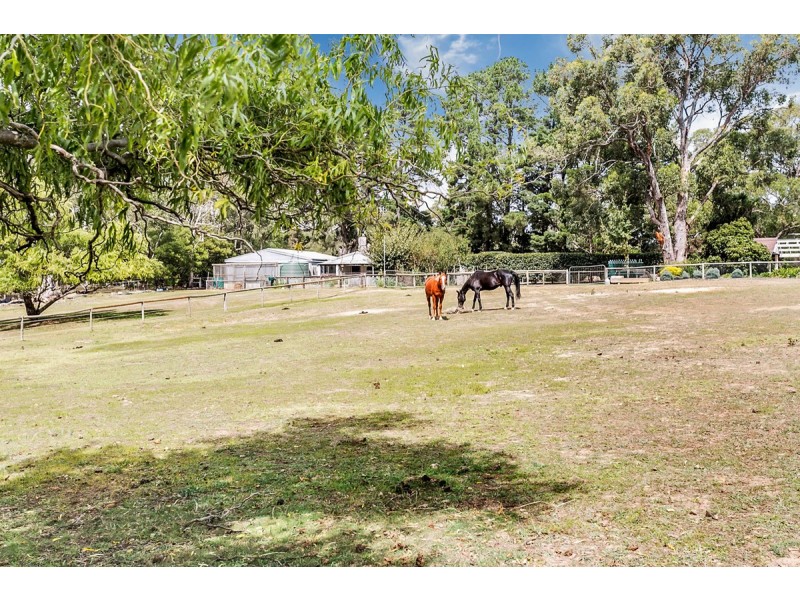 599 Ackland Hill Road, Coromandel East SA 5157