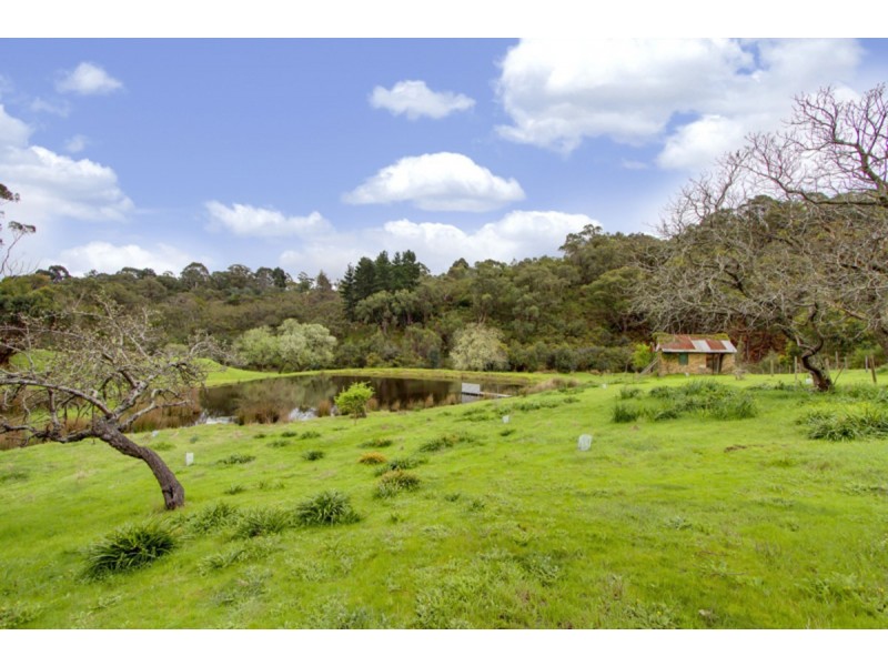 213 Nicholls Road, Bradbury SA 5153