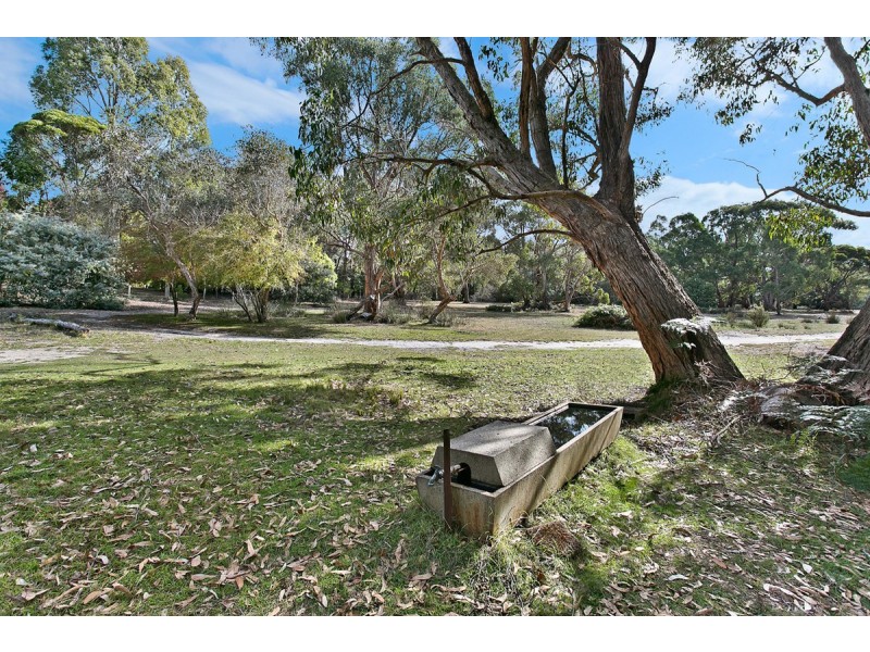 37 Woolcock Road, Longwood SA 5153