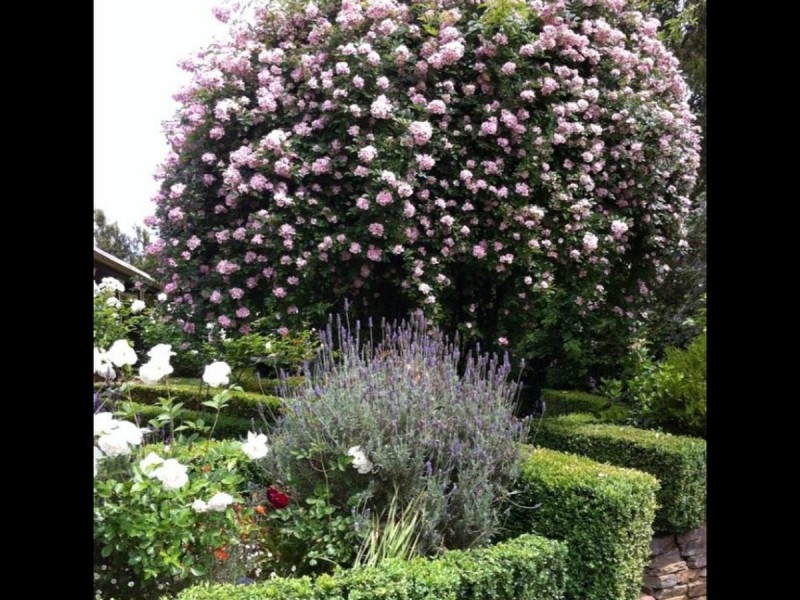 16 Cummins Drive, Summertown SA 5141