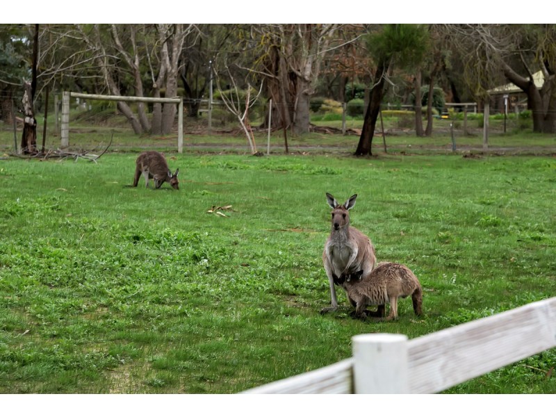 461 Ackland Hill Road, Coromandel East SA 5157