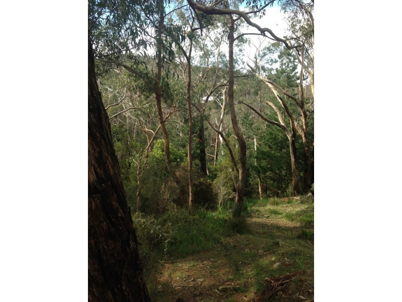 99 Upper Sturt Road, Upper Sturt SA 5156