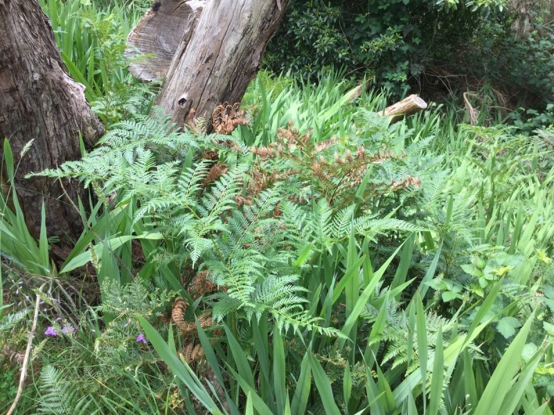 99 Upper Sturt Road, Upper Sturt SA 5156