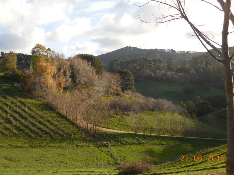 72 Wyes Road, Basket Range SA 5138