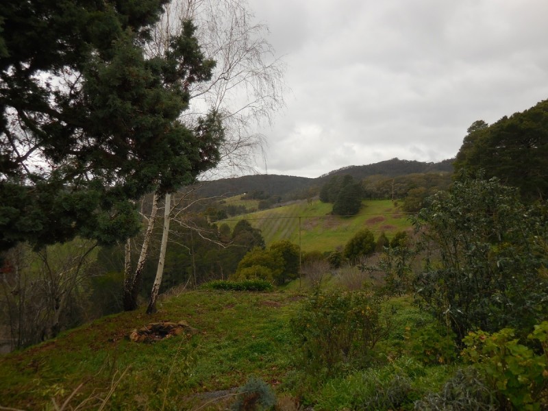100 Burdetts Road, Basket Range SA 5138