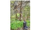 116 Sheoak Road, Crafers West SA 5152