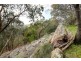 116 Sheoak Road, Crafers West SA 5152