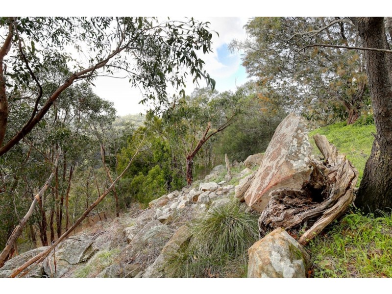 116 Sheoak Road, Crafers West SA 5152