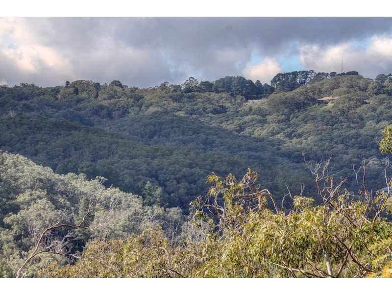 116 Sheoak Road, Crafers West SA 5152