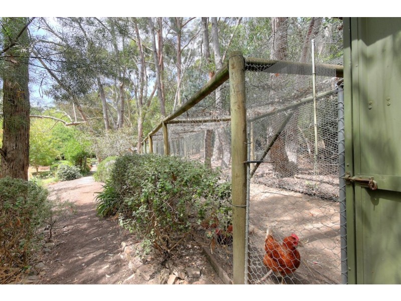 3 Kiley Road, Aldgate SA 5154