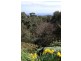 62 Emmett Road, Crafers West SA 5152