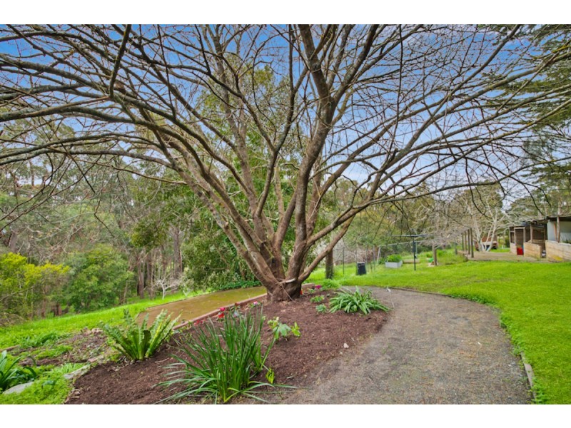 91 Rangeview Drive, Carey Gully SA 5144