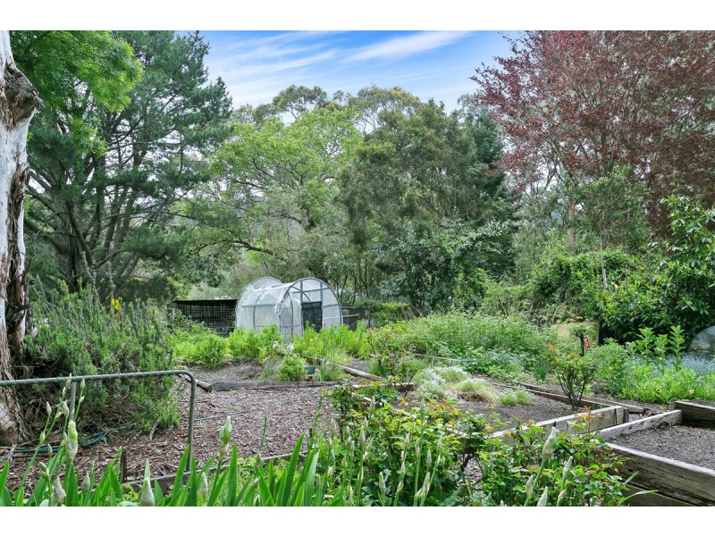 5 Curtis Close, Piccadilly SA 5151