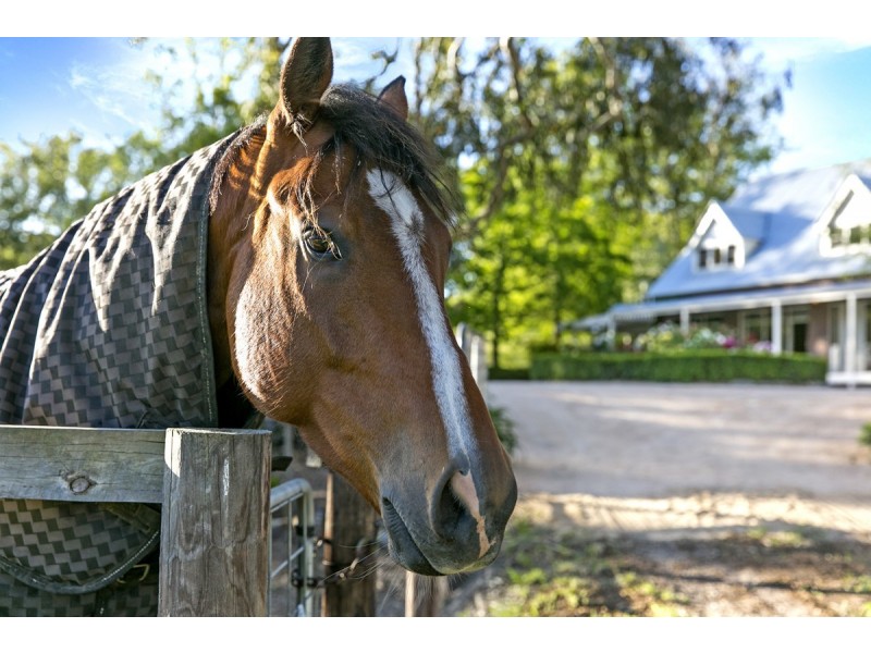 124 Martins Road, Oakbank SA 5243