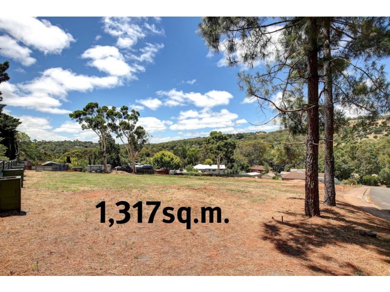 65 Light Road, Coromandel Valley SA 5051