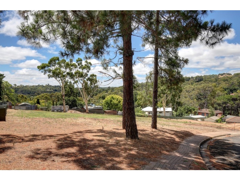65 Light Road, Coromandel Valley SA 5051