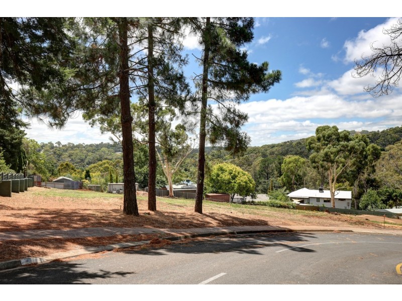 65 Light Road, Coromandel Valley SA 5051