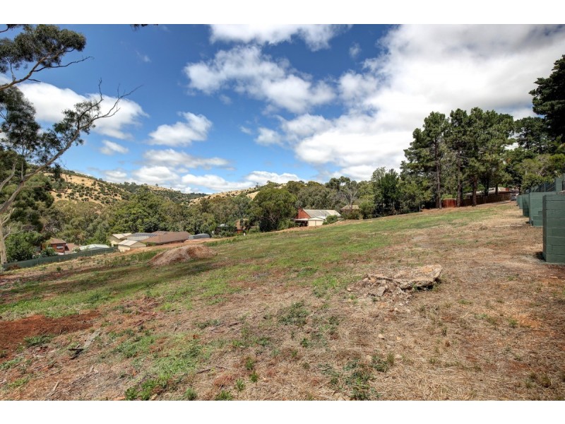 65 Light Road, Coromandel Valley SA 5051