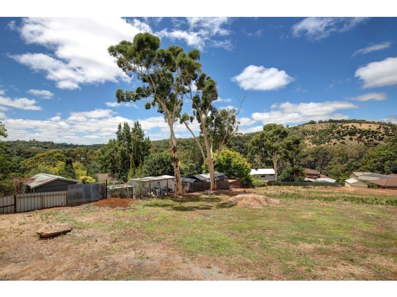 65 Light Road, Coromandel Valley SA 5051