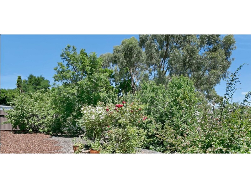 12 Nickel Drive, Aberfoyle Park SA 5159