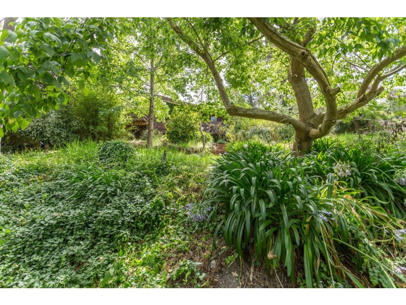 99 Cave Avenue, Bridgewater SA 5155