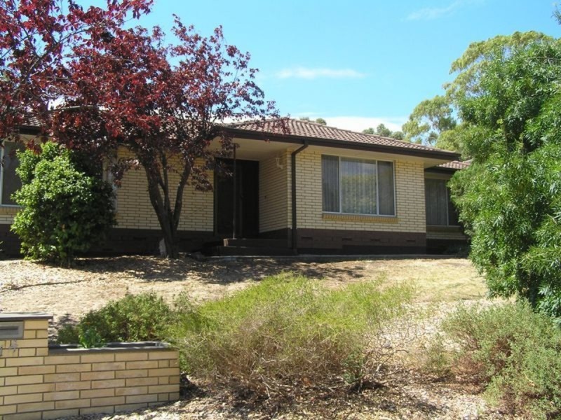 14 Offler Avenue, Bellevue Heights SA 5050