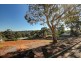 10A Currawong Crescent, Coromandel Valley SA 5051