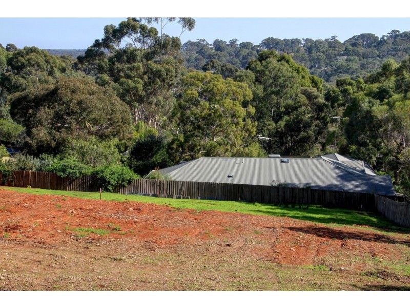 10A Currawong Crescent, Coromandel Valley SA 5051