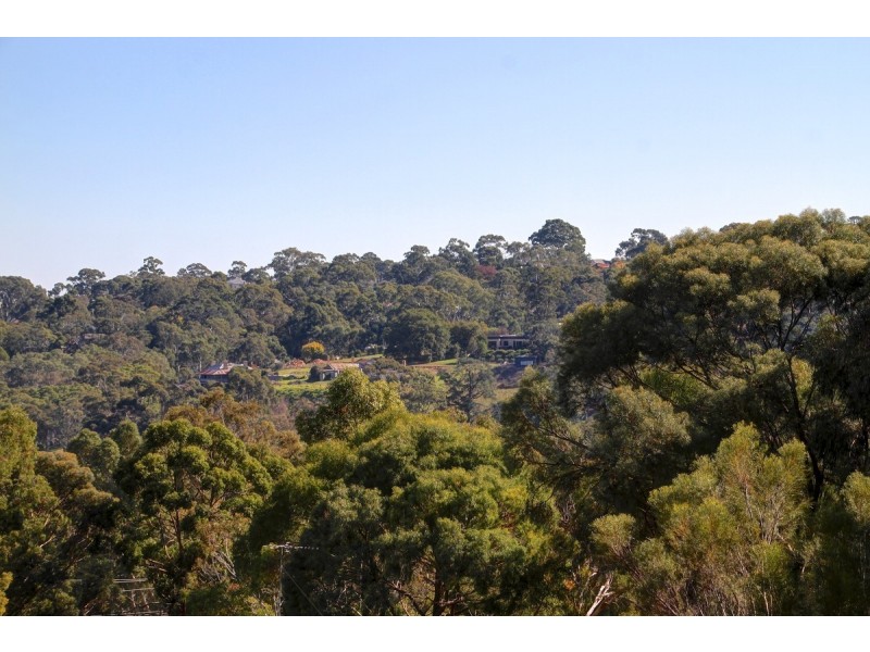 10A Currawong Crescent, Coromandel Valley SA 5051