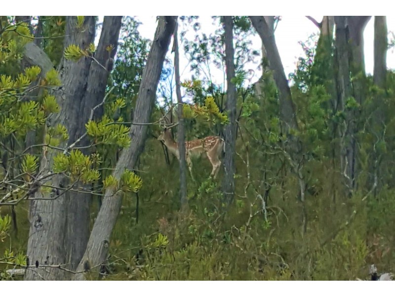 2 Summer Hill Drive, Crafers SA 5152