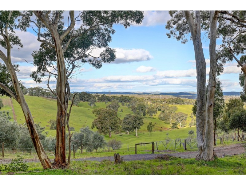 16 Cockatoo Lane, Chandlers Hill SA 5159