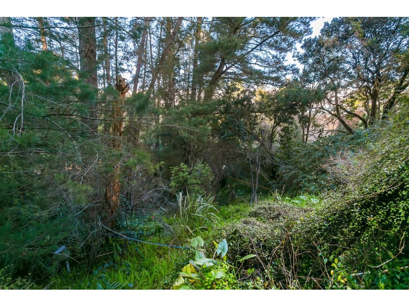 10 Fielding Road, Bridgewater SA 5155