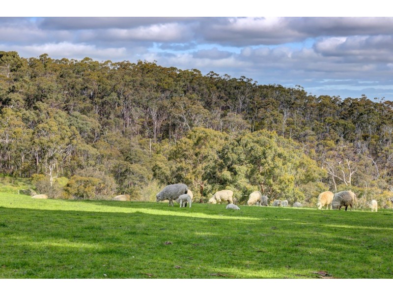 15 Emmett Road, Crafers West SA 5152