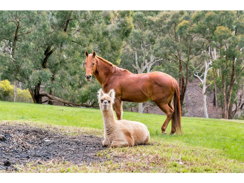 44 Cave Avenue, Bridgewater SA 5155