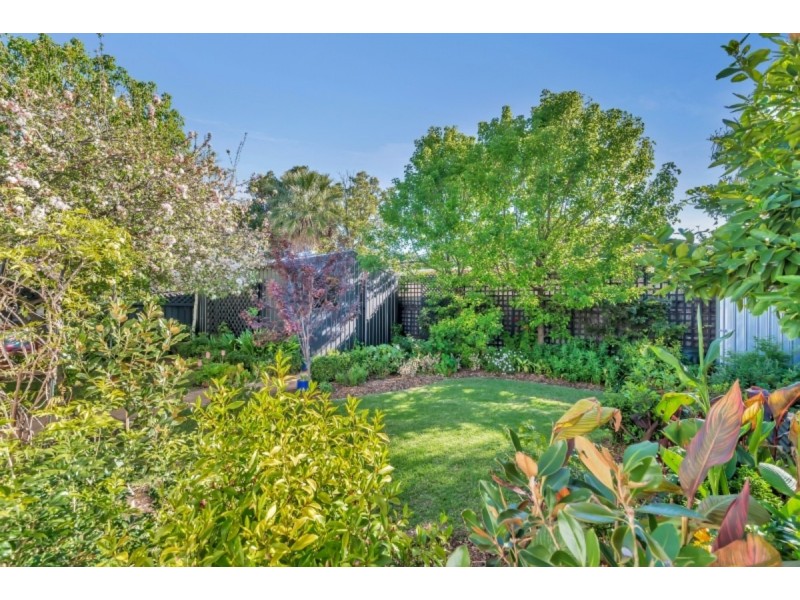9 Corinda Avenue, Kensington Park SA 5068
