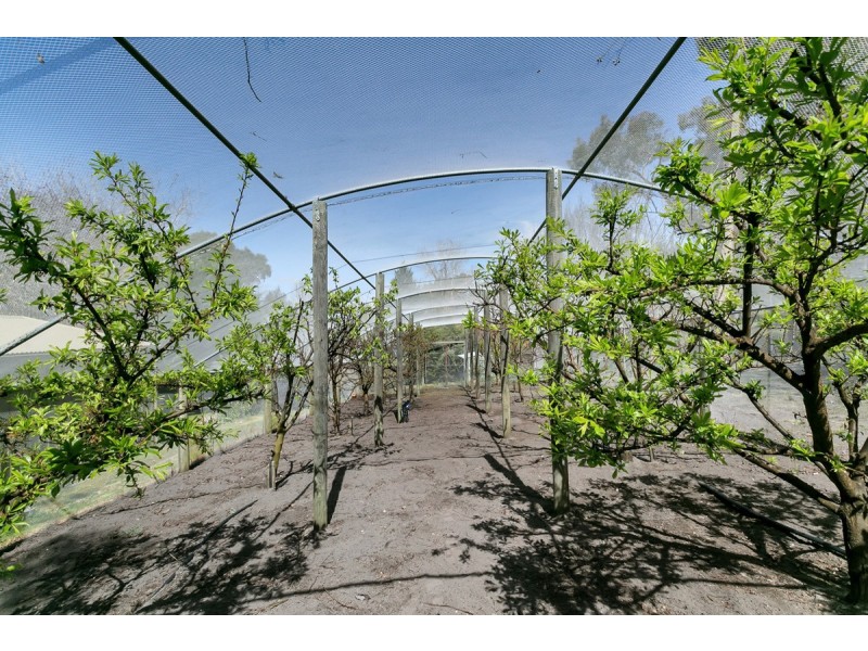 41 Hampton Road, Mylor SA 5153