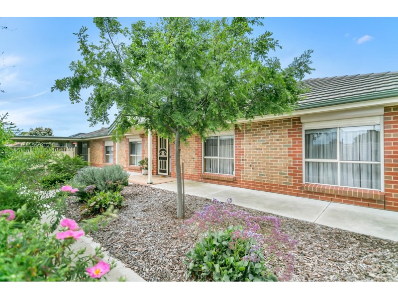 7 Selby Street, Kurralta Park SA 5037