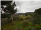 100 Burdetts Road, Basket Range SA 5138