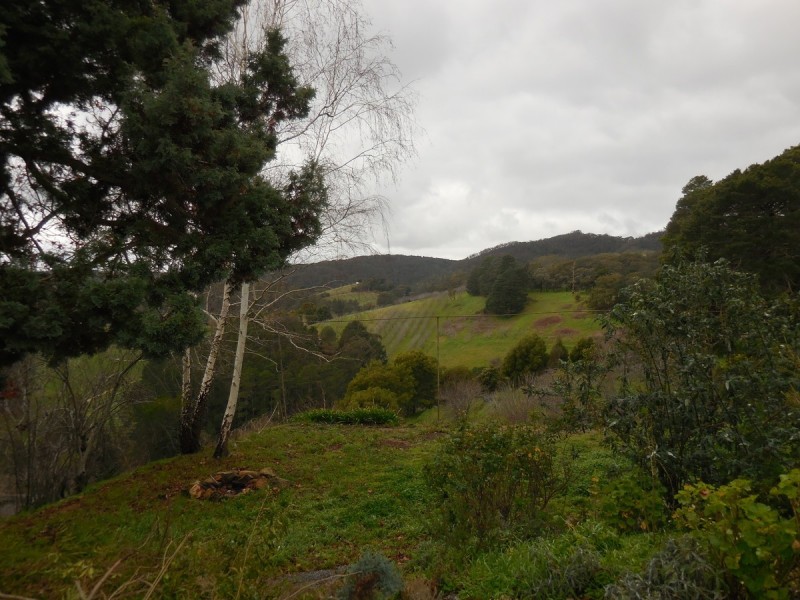 100 Burdetts Road, Basket Range SA 5138